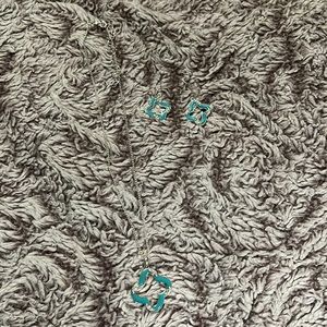 NWOT Women’s matching necklace and earrings.